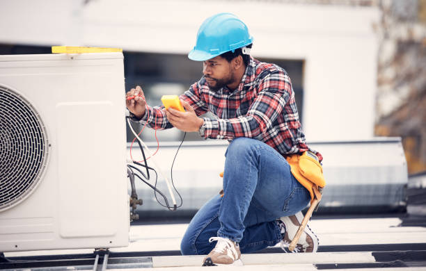 Best Local Electrician Companies  in Wolfe City, TX