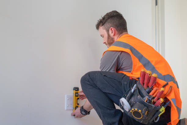 Best Electric Panel Repair  in Wolfe City, TX